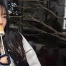 천경써비스 | 2026. 03