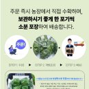 수분 가득 아삭하고 신선한 신선광채 바타비아 프릴아이스 후기