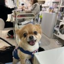 뷰티노리샘 이미지