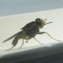 파리 서울신문