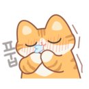 와이든커피 이미지