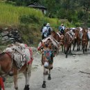 형제자매들과 다시 간 네팔(16)... ABC(Annapurna Base Camp)트레킹 코스에 대한 간단한 설명과 2007년의 사진들 이미지