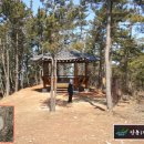 솔향기길1코스(당봉) 이미지