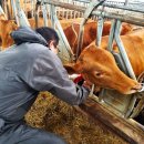 김해가축약품 이미지