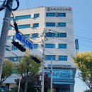 밝은소리이비인후과의원 이미지