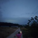 은사시 캠핑장 | 주말 캠핑 기록 : 파주 은사시힐링캠핑장 제대로 힐링 하고옴(B-10 사이트후기) 파주캠핑장 추천