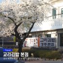 교리 | 경주 먹거리 추천 가볼만한곳, 교리김밥 본점 포장 후기 솔직하게 남겨요