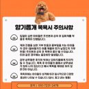 향기롭개 이미지