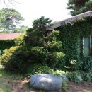 2024년 갑진년 해맞이행사 이미지