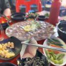 대포항회