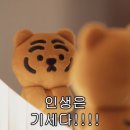 게임버스 | 비엔나 1박 2일 여행/레지오젯 후기/유럽 저가항공과의 눈치게임/야간 버스 후기/특수외국어 첫 수업 후기