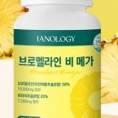 이안올로지 이미지
