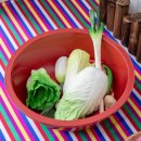 경기도 수원시 팔달구 고등로 | 수원 셀프사진관 찰칵베이비 셀프스튜디오, 아이 성장사진 촬영 후기