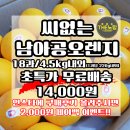 더노랑