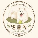 엉클독 애견유치원 네이버블로그