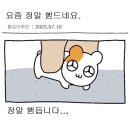 미녀와 야수 PC방 | 나 널 가져야겟어