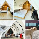 진주글램핑캠핑장처럼 KT실외자율주행로봇 결합된 캠핑장 이미지