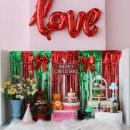 전주애견유치원 몽카롱 | 전주 애견유치원 카페 이용까지 가능한 몽카롱