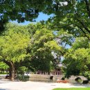 남원 행정사 사무소 이미지