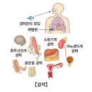 감염성 질환, 호흡기질환 결핵 (Tuberculosis)이란? 이미지