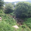 향림사 화장실 이미지