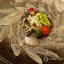 요리독 연합뉴스