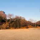 대정생활야구장 이미지