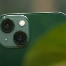 디엔에스컴퍼니 이미지