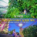 알찬슈퍼 | 싱가포르 가든스바이더베이 입장권 예약 플라워돔 슈퍼트리쇼 시간 야경 후기