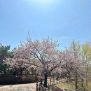 수원-1087 이미지