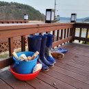 나루펜션 이미지