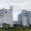 G1906 네이버블로그
