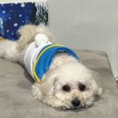 탱스땡스 이미지