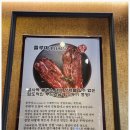 포항 숙성삼겹살 맛있는 설화벌삼겹 방문 후기
