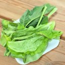 솔비네 집 이미지