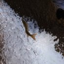 금의환향 이미지