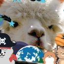 테이블에이 이미지