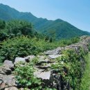 산성 이미지