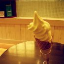 동경농장 이미지