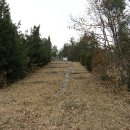 성석린 선생 묘 이미지