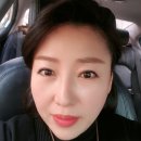 도도인셀덤