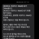 [코이카 글로벌 서포터즈] 위코 6기 - 합격 후기, 서류와 면접