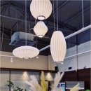 황금밥집 이미지