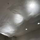 리젠 코리아(REGEN KOREA) 네이버블로그
