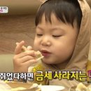 뚱. 만두