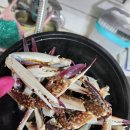 엄마수산 | 네이버 스토어 가성비 갑 엄마수산 활꽃게 내돈내산 후기