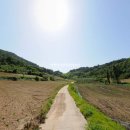 월악로농장 이미지