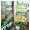 여기는로스트볼 이미지