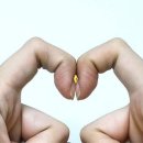 2022년 10월 28일 금요일 매일news-briefing 이미지