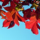 연봉우체국 이미지